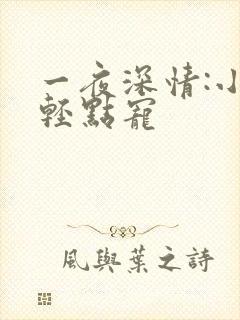 一夜深情:小叔轻点宠