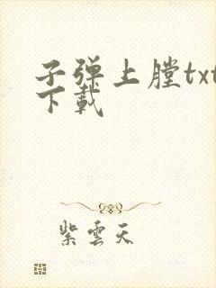 子弹上膛txt下载