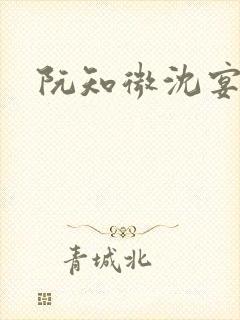 阮知微沈宴电竞