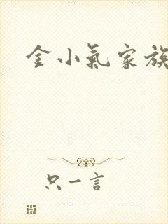 金小气家族小说