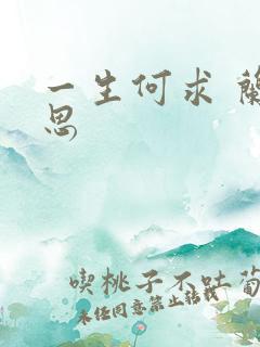 一生何求 兰思思