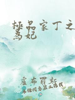 极品家丁之册母为妃