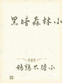 黑暗森林小说