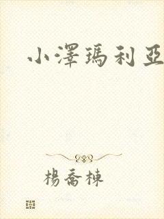 小泽玛利亚作品