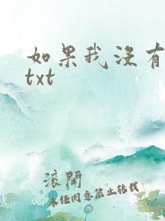 如果我没有爱过txt