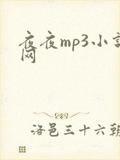 夜夜mp3小说网