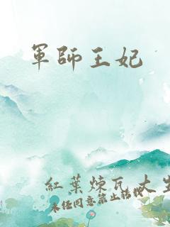 军师王妃