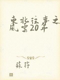 东北往事之黑道风云20年
