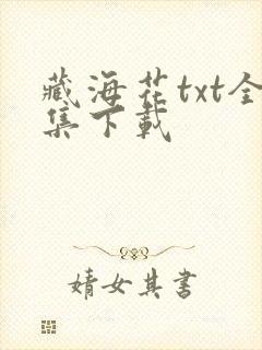 藏海花txt全集下载