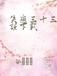 失恋三十三天小说下载