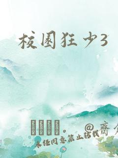 校园狂少3