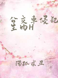 公交车侵犯小男生肉H