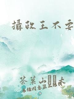摄政王不要