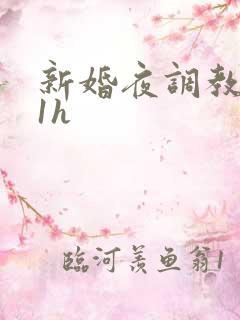 新婚夜调教1v1h