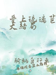 爱上琉璃苣女孩大结局