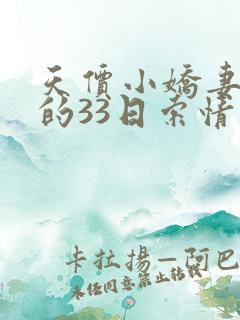 天价小娇妻总裁的33日索情
