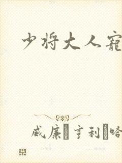 少将大人宠宠我