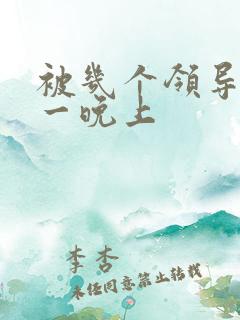 被几个领导玩弄一晚上