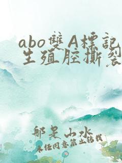 abo双A标记生殖腔撕裂