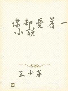 你却爱着一个他 小说