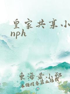 皇家共享小公主nph