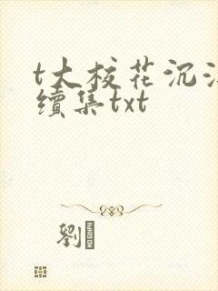 t大校花沉浮录续集txt