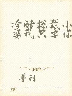 冷酷总裁小小老婆我只要你