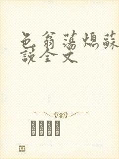 色翁荡熄苏钥小说全文