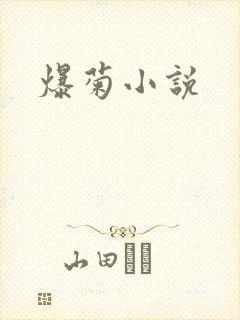爆菊小说
