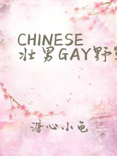 CHINESE壮男GAY野战强迫TUBE
