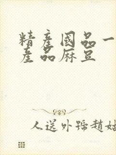 精产国品一二三产品麻豆