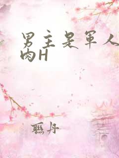 男主是军人的肉肉H