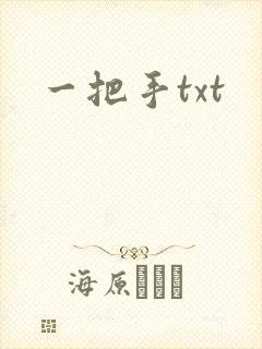 一把手txt