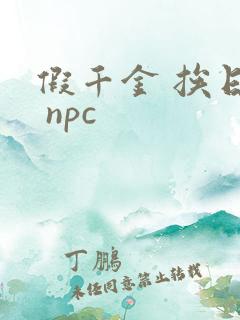 假千金 挨日记 npc