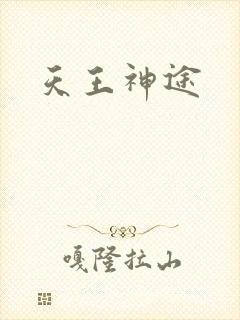 天王神途