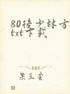 80后少林方丈txt下载
