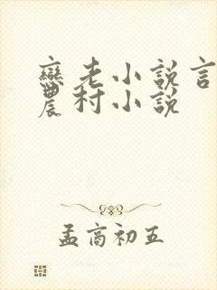 恋老小说言情网农村小说