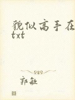 貌似高手在异界txt