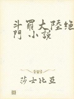 斗罗大陆绝世唐门 小说