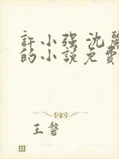 许小强 沈丽娟的小说免费阅读