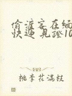 偷渡客在缅北送快递 见证100种逃亡