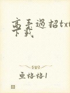 高手过招txt下载