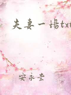 夫妻一场txt