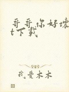 哥哥你好坏txt下载