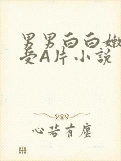 男男白白嫩嫩小受A片小说