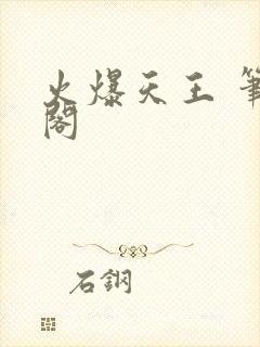 火爆天王 笔趣阁