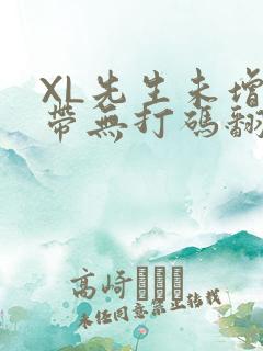XL先生未增删带无打码翻译
