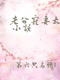 老公宠妻太甜蜜 小说