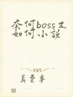 奈何boss又如何小说