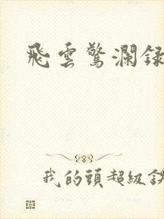 飞云惊澜录